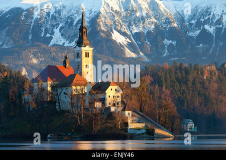 L'Assomption de Marie l'église de pèlerinage sur le lac de Bled, Bled, Slovénie, Europe Banque D'Images