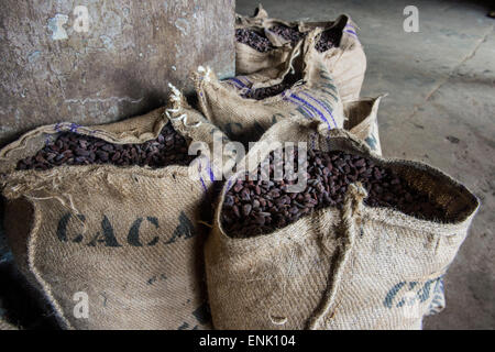 Des sacs remplis de grains de cacao, plantation de cacao Roca Aguaize, côte est de Sao Tomé, Sao Tomé et Principe, Océan Atlantique, Afrique Banque D'Images