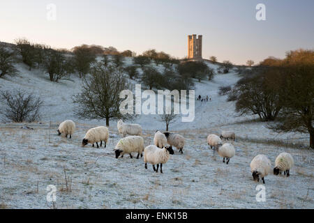 Broadway Tower et moutons en matin givre, Broadway, Cotswolds, Worcestershire, Angleterre, Royaume-Uni, Europe Banque D'Images