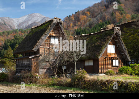 Maisons Folklorique Gassho-zukuri, village Ogimachi, Shirakawa-go, près de Takayama, le centre de Honshu, Japon, Asie Banque D'Images