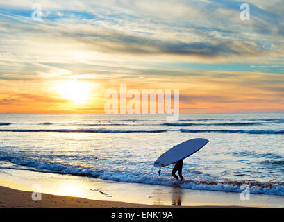 Man carrying surf sur la plage au coucher du soleil. Sagres, région de l'Algarve, Portugal Banque D'Images