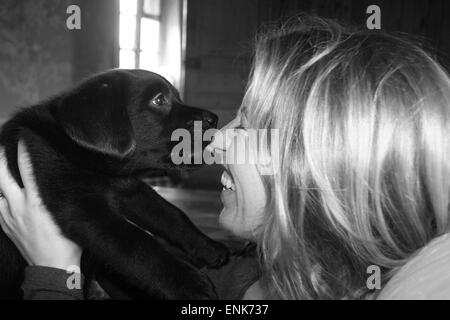 Woman holding chiot qui lèche son nez. Banque D'Images