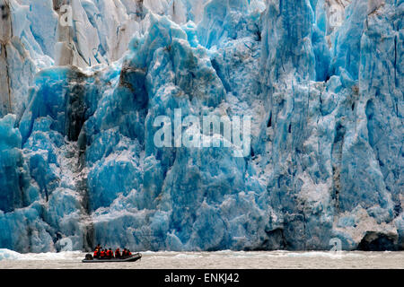 Safari croisière Endeavour passagers dans un bateau gonflable en face de Dawes veaux dans le Glacier Endicott Arm fjord de Tracy un Banque D'Images