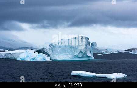 La glace flottante bleu ciel moody et des pingouins sur la glace antarctique Antarctique Point Portail Banque D'Images