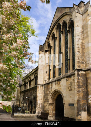 La cathédrale de York Bibliothèque dans l'ancien Palais Deans Park York Yorkshire Angleterre Banque D'Images