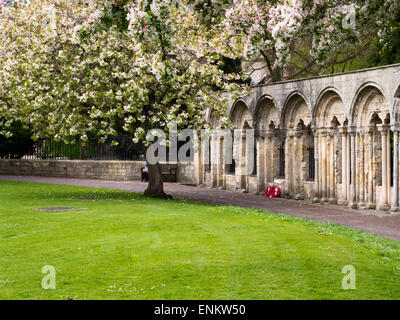 Le Mémorial de Kohima Deans Park York Yorkshire Angleterre Banque D'Images