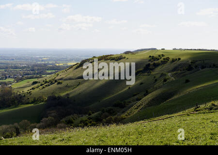 Ditchling Beacon réserve naturelle sur South Downs Way Sussex UK Banque D'Images