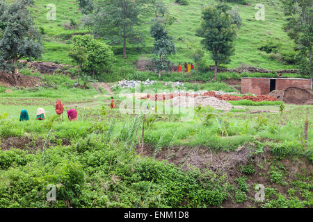 Les travailleurs dans le Rajasthan en Inde Banque D'Images