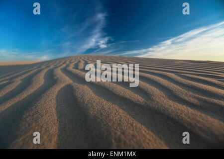 Monahans Sandhills State Park Banque D'Images