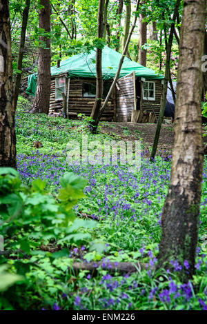 Une cabane et dans le "jacinthes Eco Village' à Runnymede, bois. Une communauté créée par un peuple vivant un mode de vie alternatif. Banque D'Images