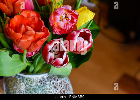 Tulipes colorées dans un vase Banque D'Images