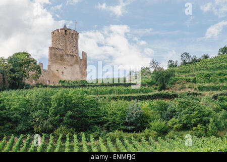 Vignes au-dessus de Kaysersberg, Alsace, France, avec des ruines du château de Schlossberg à distance Banque D'Images