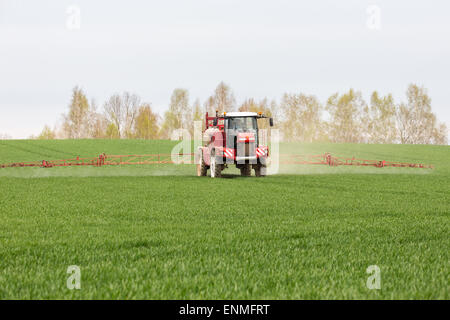 La pulvérisation des herbicides sur le champ vert Banque D'Images