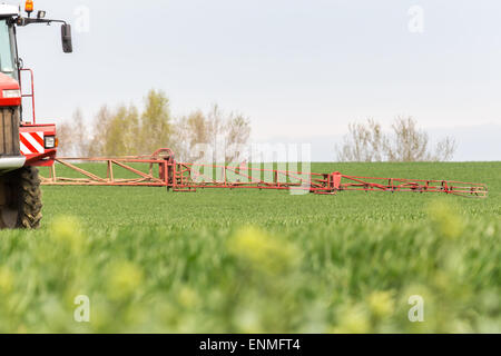 La pulvérisation des herbicides sur le champ vert Banque D'Images