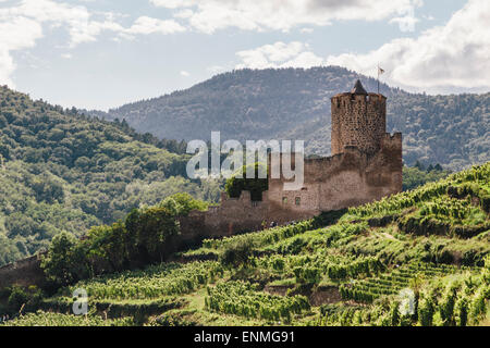 Vignes au-dessus de Kaysersberg, Alsace, France, avec des ruines du château de Schlossberg à distance Banque D'Images