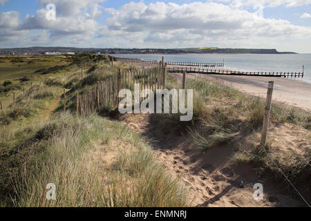 Dunes de sable de dawlish warren sur la côte sud du Devon Banque D'Images