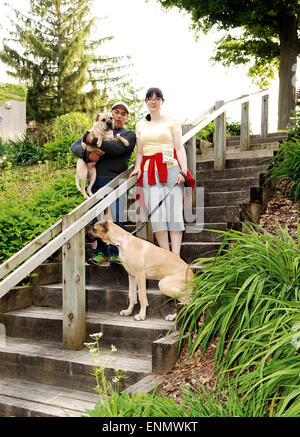 Un couple dans le parc avec son chien, il y a deux un sharpei et un grand danois. Banque D'Images