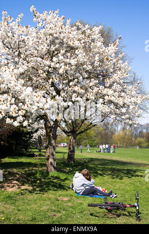 Les jeunes l'amour en printemps, ville de York, Yorkshire, Angleterre Banque D'Images