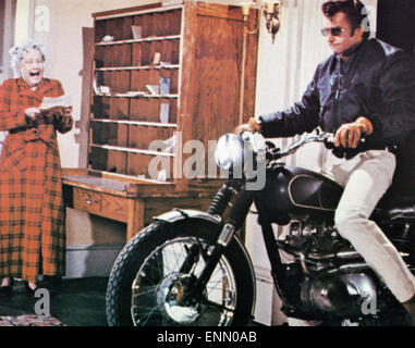 Evel Knievel, USA 1971, Regie : Marvin J. Chomsky, acteurs : George Hamilton, Sylvia Hayes Banque D'Images