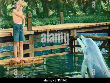 Flipper, USA 1963, Regie : James B. Clark, acteurs : Luke Halpin Banque D'Images