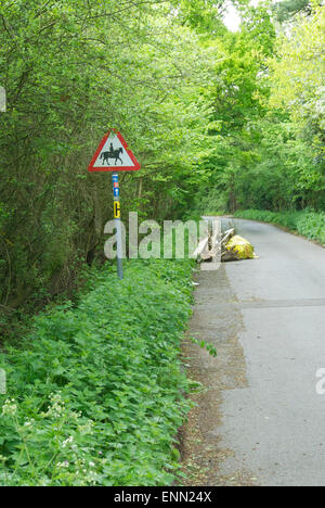 Les déchets de jardin sont déversées dans les ruelles de Buckinghamshire... Banque D'Images