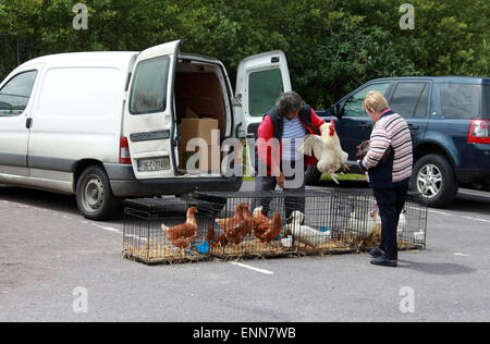 Marché de producteurs de Clonakilty dans la République d'Irlande Banque D'Images