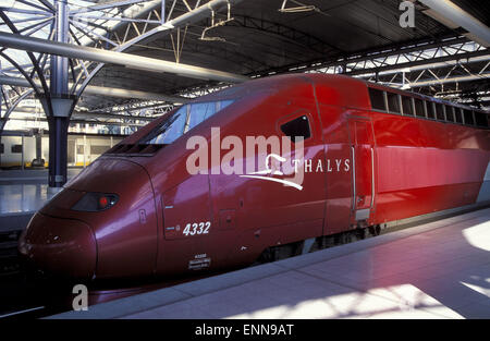 BEL, Belgique, Bruxelles, le train à grande vitesse Thalys à la Gare du Midi. BEL, Belgien, Bruessel, der Hochgeschwindigkeitszug e Banque D'Images