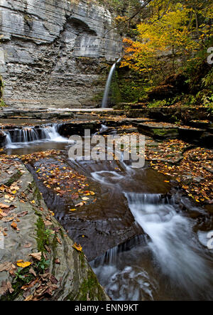 Eagle Cliff Falls Banque D'Images