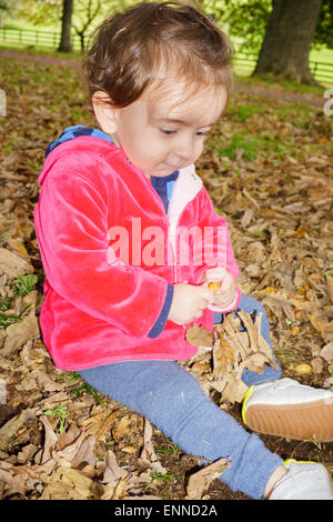 Bébé Girl in red jacket assis parmi les feuilles d'automne, le contenu à des plaisirs de jeu. Banque D'Images