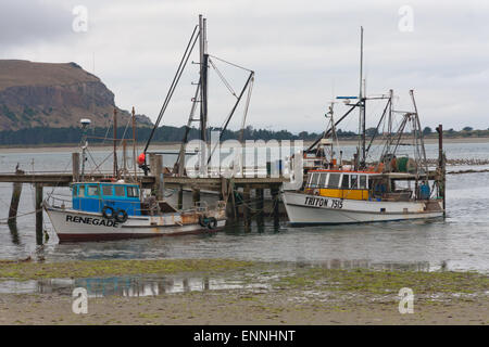 La péninsule d'Otago, Nouvelle-Zélande 16 février 2012. Les bateaux de pêche amarrés à un quai. La pêche est l'une des principales industries de ce Banque D'Images