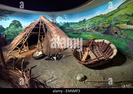 Newgrange est situé près du village de Donore, comté de Meath Irlande Banque D'Images