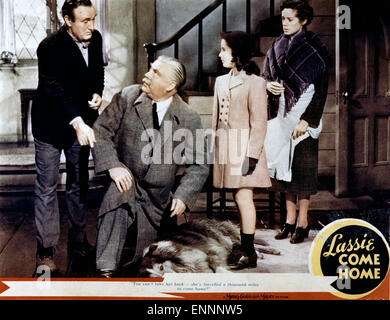 Lassie Come Home, alias : Heimweh, USA 1943, Regie : Fred M. Wilcox, acteurs : Nigel Bruce (liens), Donald Crisp, Elizabeth Taylor Banque D'Images