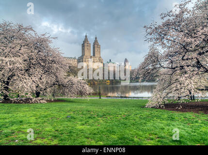 Le printemps à Central Park, New York City Banque D'Images