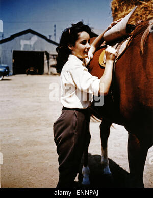 National Velvet, aka Kleines Mädchen, grosses Herz, USA, 1944, Regie : Clarence Brown, acteurs : Elizabeth Taylor Banque D'Images