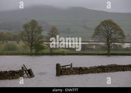 Skipton, Yorkshire du Nord, au Royaume-Uni. 9e mai 2015. Routes de campagne et les champs des agriculteurs sont couverts dans l'eau le long de la vallée de l'Aire, près de Skipton, Yorkshire du Nord. La rivière Aire éclate ses banques après les fortes pluies de la nuit entraîner jusqu'à 2 pieds de l'eau pour couvrir la terre environnante. Crédit : Tom Holmes / Alamy Live News. Banque D'Images