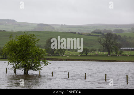 Skipton, Yorkshire du Nord, au Royaume-Uni. 9e mai 2015. Routes de campagne et les champs des agriculteurs sont couverts dans l'eau le long de la vallée de l'Aire, près de Skipton, Yorkshire du Nord. La rivière Aire éclate ses banques après les fortes pluies de la nuit entraîner jusqu'à 2 pieds de l'eau pour couvrir la terre environnante. Crédit : Tom Holmes / Alamy Live News. Banque D'Images