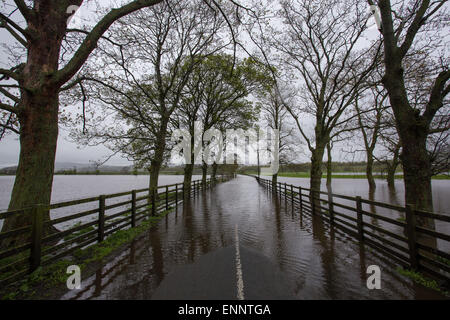 Skipton, Yorkshire du Nord, au Royaume-Uni. 9e mai 2015. Routes de campagne et les champs des agriculteurs sont couverts dans l'eau le long de la vallée de l'Aire, près de Skipton, Yorkshire du Nord. La rivière Aire éclate ses banques après les fortes pluies de la nuit entraîner jusqu'à 2 pieds de l'eau pour couvrir la terre environnante. Crédit : Tom Holmes / Alamy Live News. Banque D'Images