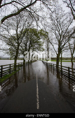 Skipton, Yorkshire du Nord, au Royaume-Uni. 9e mai 2015. Routes de campagne et les champs des agriculteurs sont couverts dans l'eau le long de la vallée de l'Aire, près de Skipton, Yorkshire du Nord. La rivière Aire éclate ses banques après les fortes pluies de la nuit entraîner jusqu'à 2 pieds de l'eau pour couvrir la terre environnante. Crédit : Tom Holmes / Alamy Live News. Banque D'Images