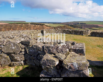 L'âge de fer mur rond de pierre Edin's Hall broch dans les Scottish Borders. Banque D'Images