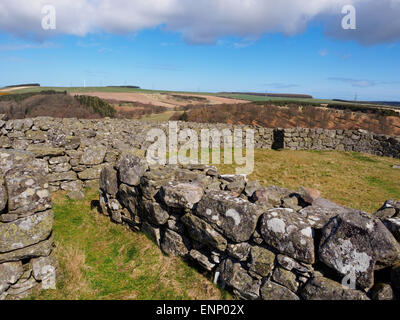 L'âge de fer mur rond de pierre Edin's Hall broch dans les Scottish Borders. Banque D'Images