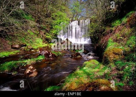 Haw échelle vigueur Hebden Yorkshire Angleterre Banque D'Images