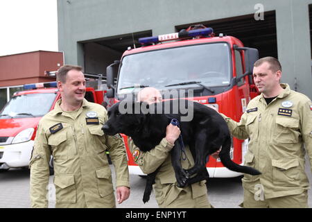 Gdansk, Pologne 9e, mai 2015 les pompiers polonais de Gdansk en Pologne en provenance du Népal. Les sauveteurs polonais ont pris part à l'action de secours après le tremblement de terre au Népal. Il y a eu 6 pompiers et de sauvetage chien de Gdansk. Pompier avec chien nommé Kali se tenir en face de l'incendie des voitures de sauvetage Banque D'Images