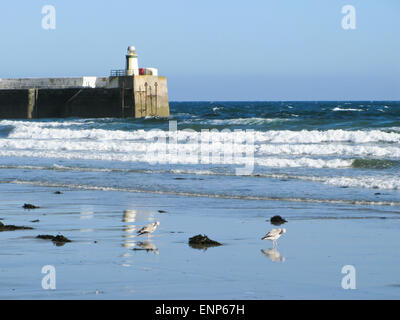 Laxey beach et phare Banque D'Images