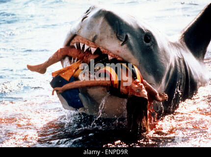 Jaws, aka : Der weiße Hai, USA 1974, Regie : Steven Spielberg, Szenenfoto, Banque D'Images