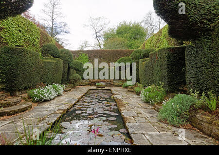 Étang entouré de topiary et de couverture. Banque D'Images