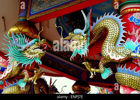 Bang Saen, Thaïlande dragons dorés face à l'un de l'autre support rouge des colonnes en Dao De Tian Lin temple chinois Banque D'Images