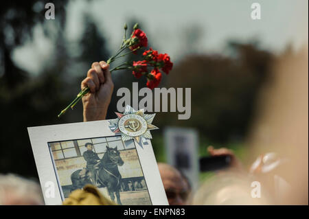 Toronto, Canada. 9e mai 2015. Les droits de l'met des tas de roses et photo avec médaille de guerre soviétique en haut à droite au cours de cérémonie pour 70 ans anniversaire du Jour de la Victoire (1945-2015). Fête de la victoire marque la capitulation de l'Allemagne nazie à l'Union soviétique dans le cadre de la Seconde Guerre mondiale. La Seconde Guerre mondiale a été une guerre mondiale qui a duré de 1939 à 1945 et participé directement plus de 100 millions de personnes de plus de 30 pays. Le nombre de morts estimé à 50 millions de dollars à 85 millions de dollars, ce qui a fait la Seconde Guerre mondiale, conflit le plus meurtrier de l'histoire humaine. Crédit : Igor Ilyutkin/Alamy Live News Banque D'Images