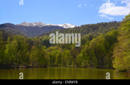 Petit lac à Dilidjan, Arménie Banque D'Images