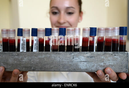 Munich, Allemagne. 07Th Mai, 2015. Un médecin montre les tubes à essai avec des échantillons de sang dans l'État Ministère de l'Intérieur à Munich, Allemagne, 07 mai 2015. Le ministre bavarois de l'Intérieur a présenté la coopération la Bavière contre la leucémie" de "l'action de don de moelle osseuse Sang Bavaria' (AKB) avec le service de don de sang de la Croix Rouge de Bavière. Photo : Andreas Gebert/dpa/Alamy Live News Banque D'Images