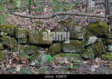 Un vieux abandonné et un mur de pierre couvert de mousse. Banque D'Images